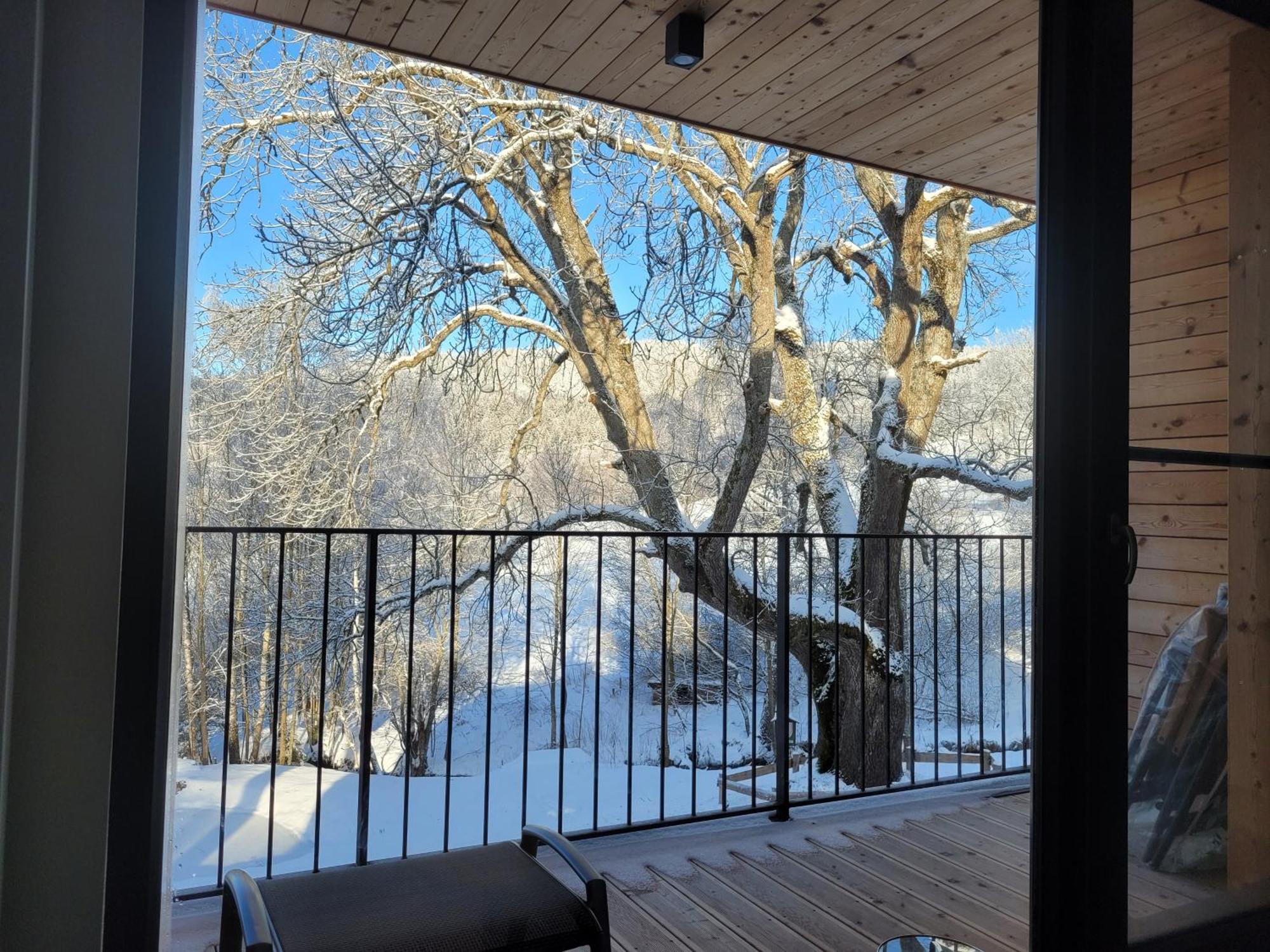 Apartman Berg Brcalnik Železná Ruda エクステリア 写真