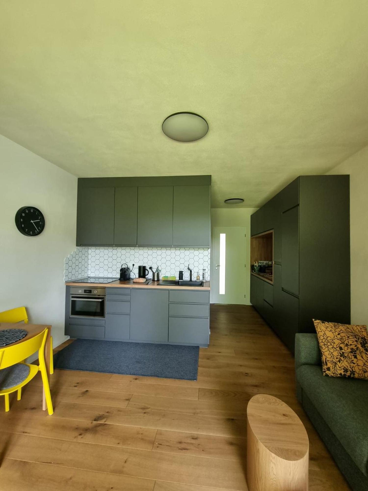 Apartman Berg Brcalnik Železná Ruda エクステリア 写真